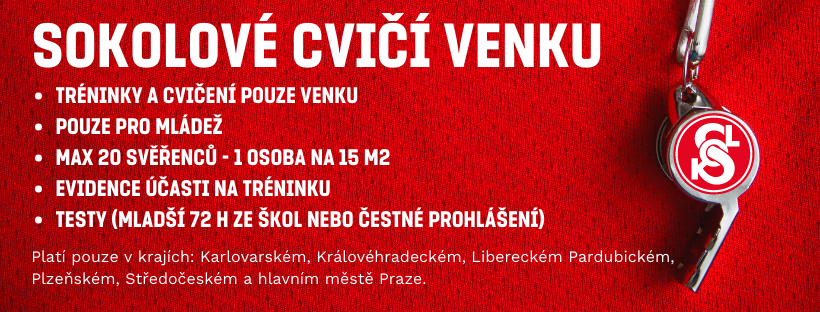 Sokolové cvičí venku